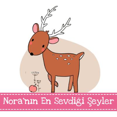 Nora'nın En Sevdiği Şeyler