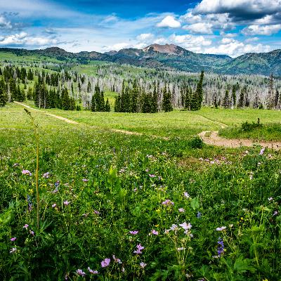 Episode 27 — Voices of the Centennials: A Conversation on the Kilgore Project Episode 27 — Voices of the Centennials: A Conversation on the Kilgore Project