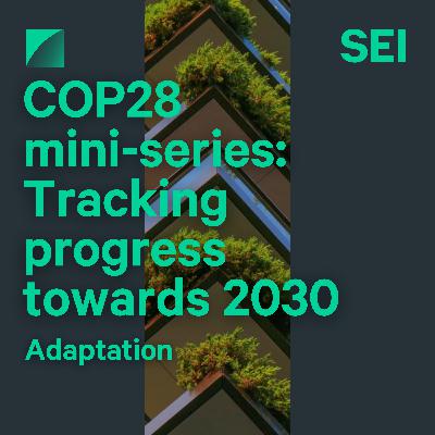 COP28 mini-series: Tracking progress towards 2030 | Ep01: Adaptation
