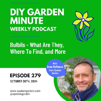 Bulbils - What Are They, Where To Find, and More Bulbils - What Are They, Where To Find, and More