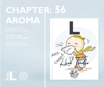 芳香过敏鼻炎照护