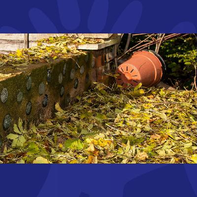 Tell Me I'm Wrong: Should I Clean Up My Neighbour's Garden? Tell Me I'm Wrong: Should I Clean Up My Neighbour's Garden?