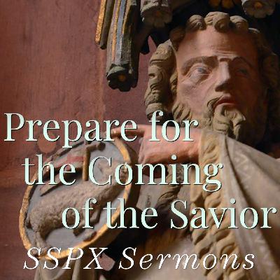 Prepare for the Coming of the Savior – SSPX Sermons
