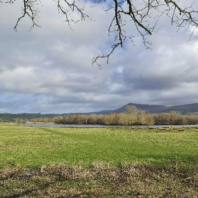 Sound Escape 265. Stirrings of spring on Llangorse Lake Sound Escape 265. Stirrings of spring on Llangorse Lake