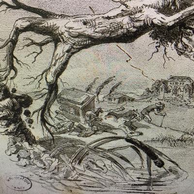 Le chêne et le roseau