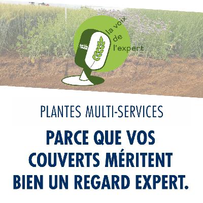 Plantes Multi-Services : parce que vos couverts méritent bien un regard expert !