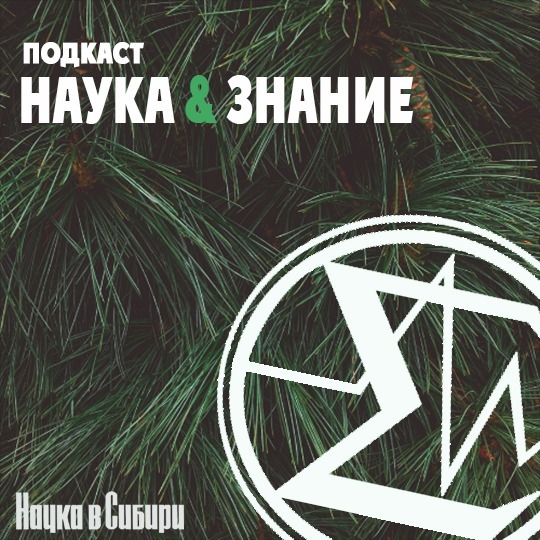Наука&Знание | Антитела. Маленькие и важные Наука&Знание | Антитела. Маленькие и важные
