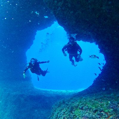 Vida Verda - La protecció marina facilita la recuperació de la vida