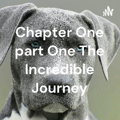 Chapter One