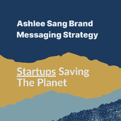 How Purpose-Driven Businesses Can Leverage Brand Messaging