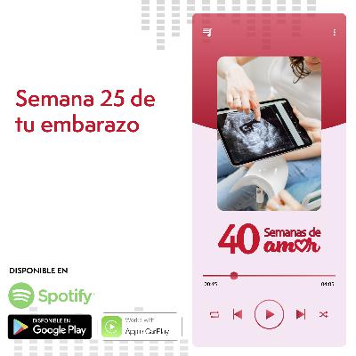 40 Semanas de Amor - Semana 25 de Embarazo