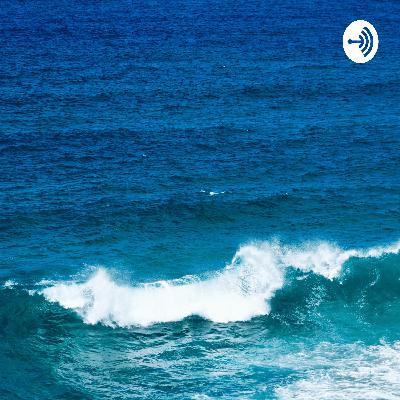 Promoção da Saúde - entrevista 2