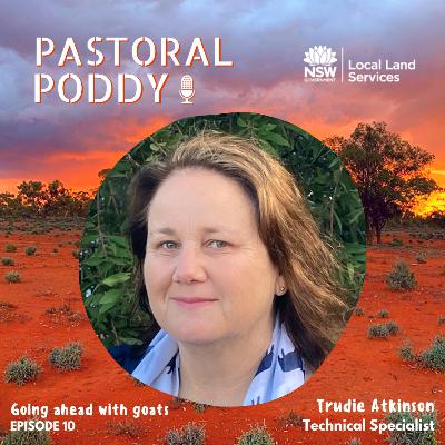 Goat Series: Ep 10 - Goat Grazing Management in the Rangelands - With Trudie Atkinson Goat Series: Ep 10 - Goat Grazing Management in the Rangelands - With Trudie Atkinson