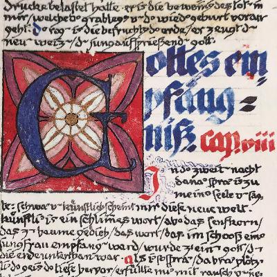 08 Het Rode Boek van Carl Gustav Jung - De Ontvangenis van de God - Liber Primus