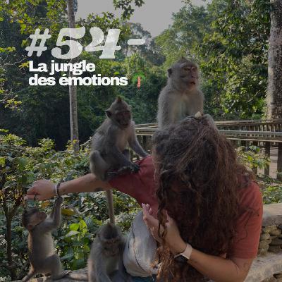 #54 - La jungle des émotions 🌴