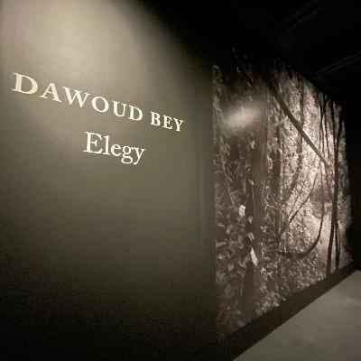 "Dawoud Bey: Elegy" at NOMA