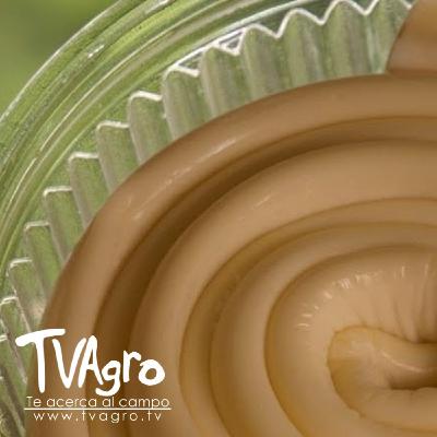 Quesos 7 cueros  - TvAgro por Juan Gonzalo Angel Restrepo - TvAgro