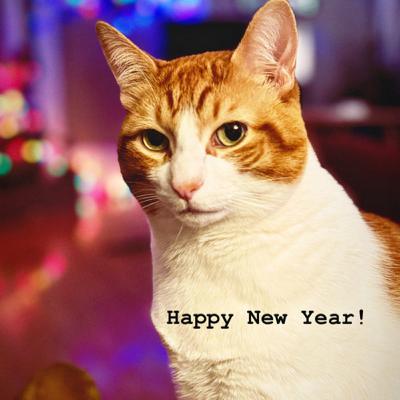 ¡Feliz Año Huevo!