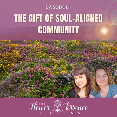 FEP81 The Gift of Soul-Aligned Community