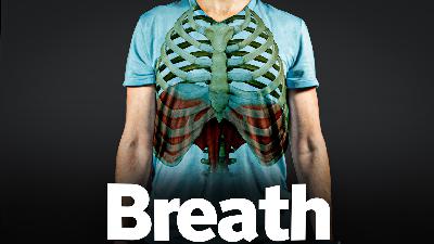 That Last Diaphragmatic Breathing Podcast You'll Ever Need That Last Diaphragmatic Breathing Podcast You'll Ever Need