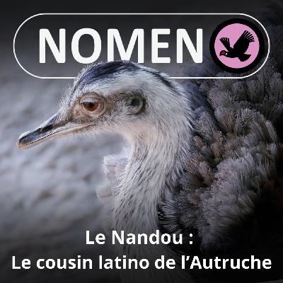 S05E26 Le Nandou : Le cousin latino de l'Autruche