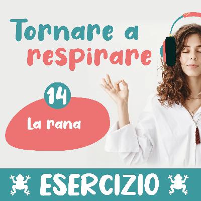 14. Introduzione all'esercizio della rana