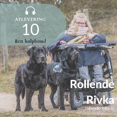 Een hulphond Een hulphond