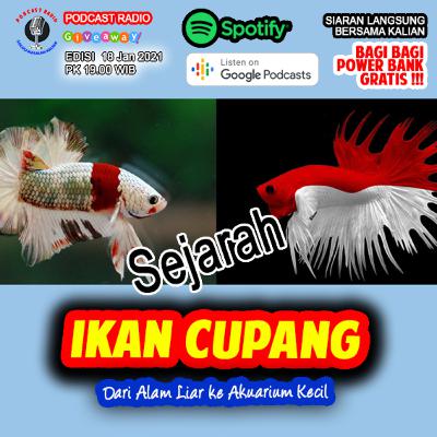 Sejarah Ikan Cupang: Dari Alam Liar ke Akuarium Kecil
