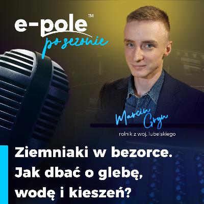 Ziemniaki w bezorce. Jak dbać o glebę, wodę i kieszeń? | Marcin Gryn