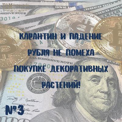 Выпуск 3 "Карантин и падение рубля не помеха покупке декоративных растений"