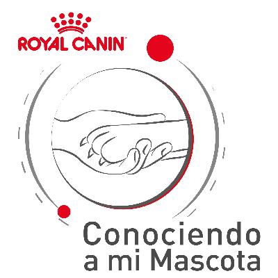 Cada mascota es diferente: ¿qué alimento necesita la mía?