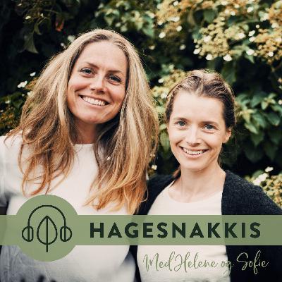 Ep. 68: Vi hagesnakkes!