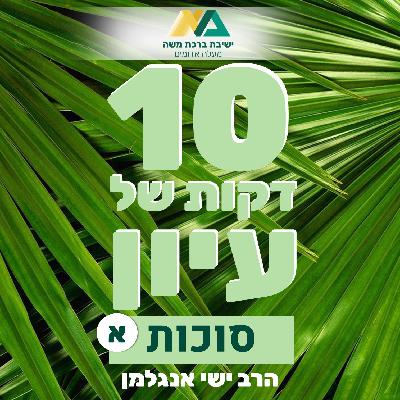 1 - סוכה: מה היא?