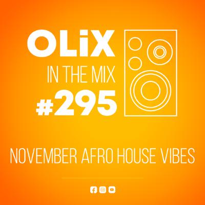295 - November Afro House Vibes