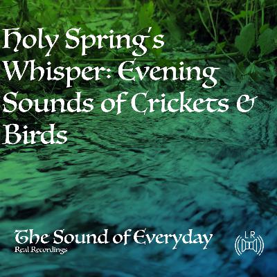 Holy Spring's Whisper: Evening Sounds of Crickets & Birds - Relaxing Nature Sound