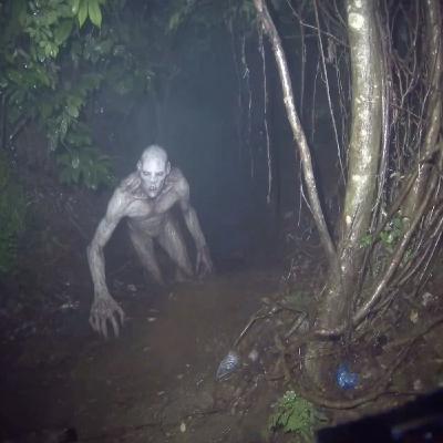 Don't Go to Appalachian Monutains. Ever.