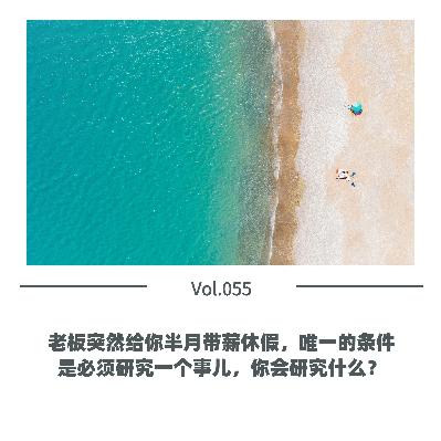 Vol.055 老板突然给你半月带薪休假，唯一的条件是必须研究一个事儿，你会研究什么？