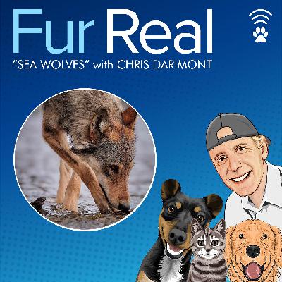 "SEA WOLVES" with Chris Darimont