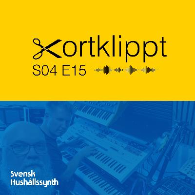 #78 Den skånska synthslätten