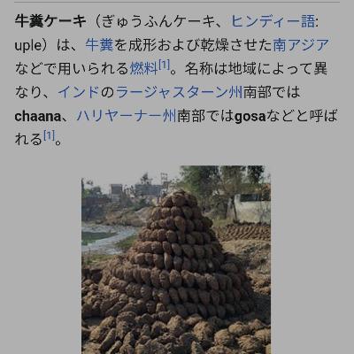 (今は)インド在住唐揚げ君の音声日記 2月の振り返り