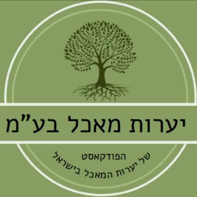 06 - מלב המיינסטרים למגורים ביער מאכל