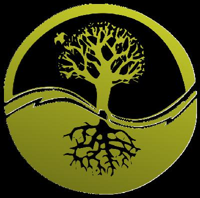 Roots of the Practice Roots of the Practice