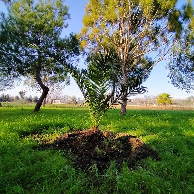 02. Giorni Apparentemente Vuoti 02. Giorni Apparentemente Vuoti