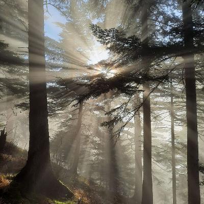 158: Unburdened: The Framework to Remove What Makes Life Harder Than It Has to Be (Part 2) 158: Unburdened: The Framework to Remove What Makes Life Harder Than It Has to Be (Part 2)