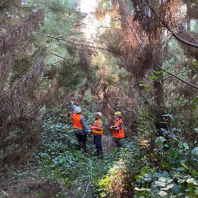 Episode 27 - Modelling the future to help minimise the impacts of bushfire events on forestry Episode 27 - Modelling the future to help minimise the impacts of bushfire events on forestry
