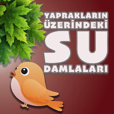 MİNİK KUŞ'UN GÜNLÜĞÜ: YAPRAKLARIN ÜZERİNDEKİ SU DAMLALARI - UYKU ÖNCESİ MASAL VE NİNNİ