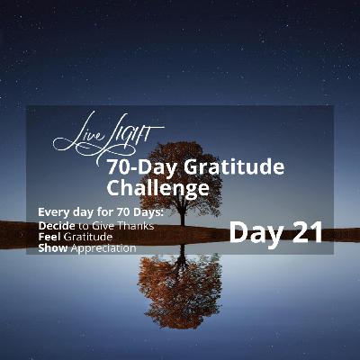 Gratitude Challenge Day 21 - Full Gratitude