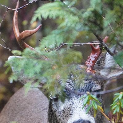 Episode 487 - Recreation and economics in Southeast Alaska