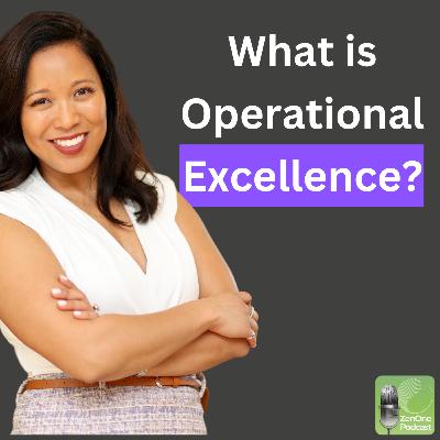 What does Operational Excellence look like?