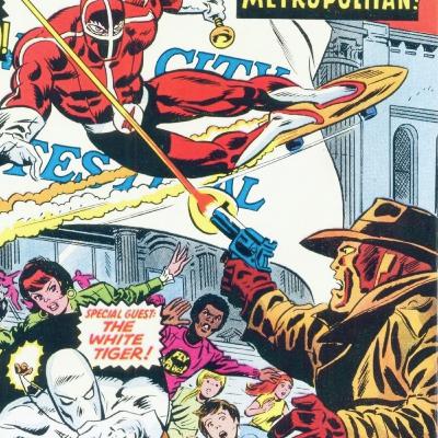 The Tiger and The Fly